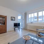 App Rosenwall *